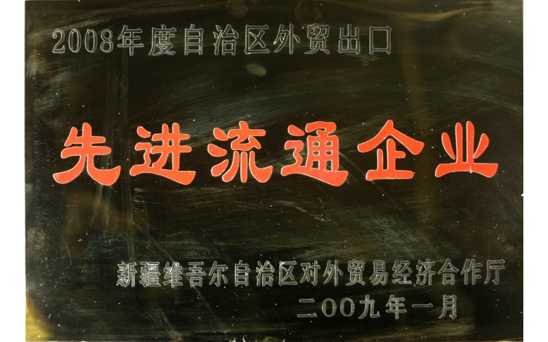 2009年新疆外貿出口先進企業
